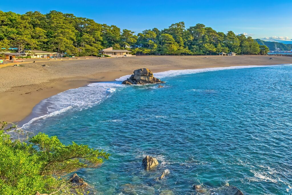 高知県のおすすめSEO・LLMO対策コンサル会社を比較！