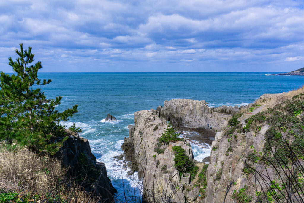 福井県のおすすめSEO・LLMO対策コンサル会社を比較!