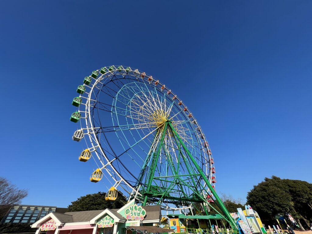 茨城県のおすすめSEO・LLMO対策コンサル会社を比較!