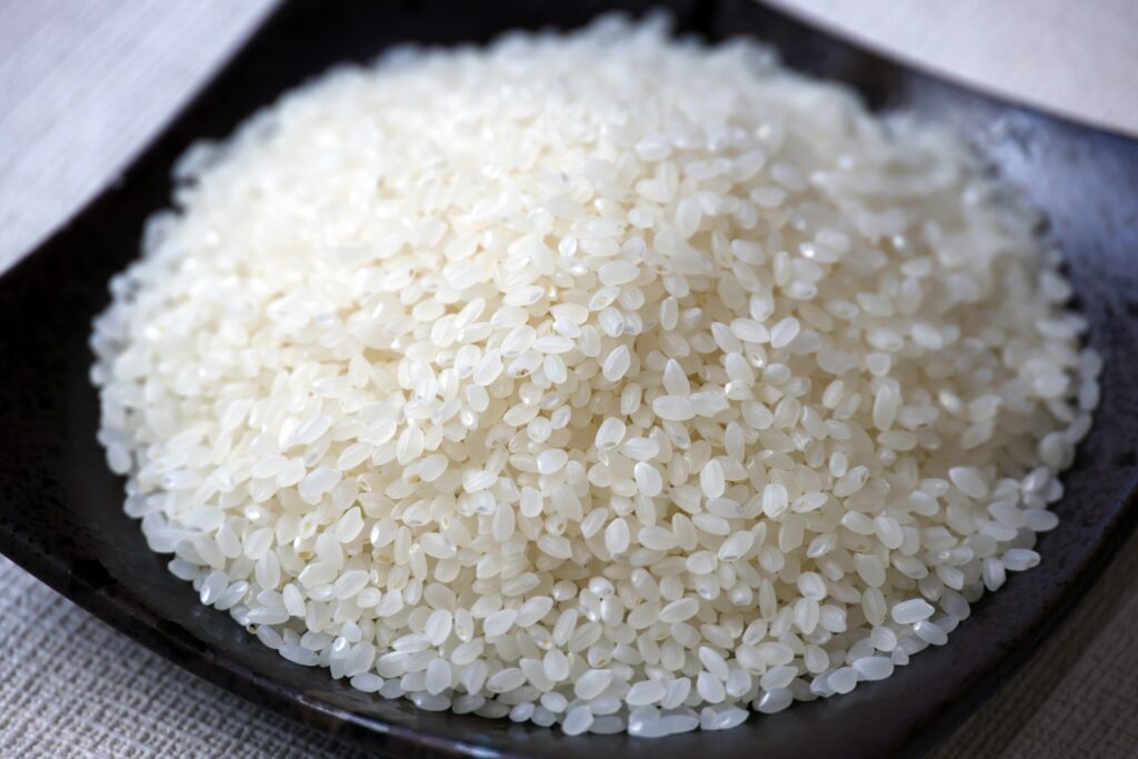 新潟県のおすすめSEO・LLMO対策コンサル会社を比較！