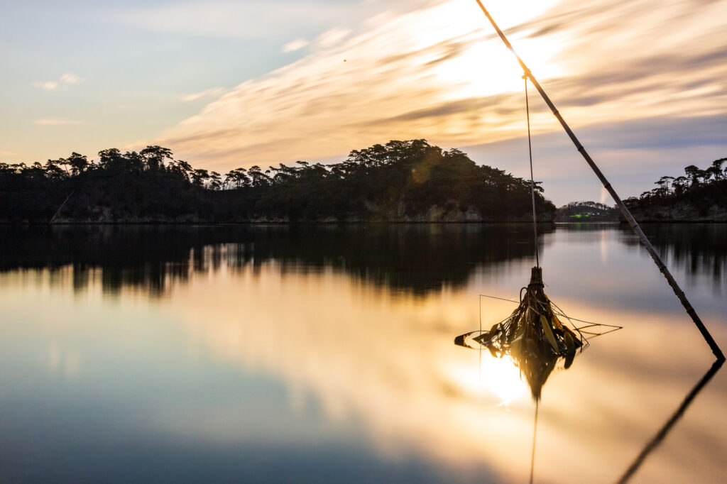 宮城県のおすすめSEO・LLMO対策コンサル会社を比較！